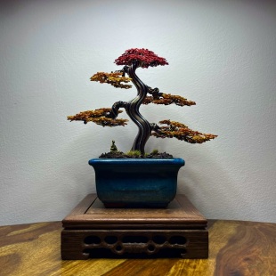 Autumn Shohin II.