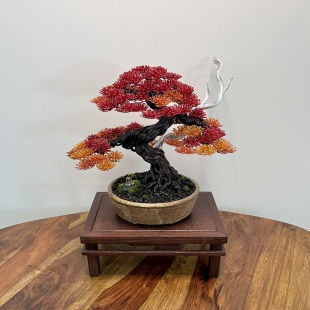 Autumn Shohin