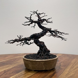 Autumn Shohin