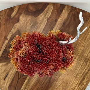 Autumn Shohin