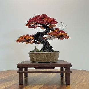 Autumn Shohin