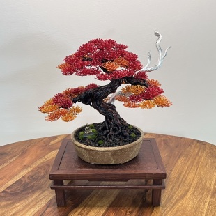 Autumn Shohin