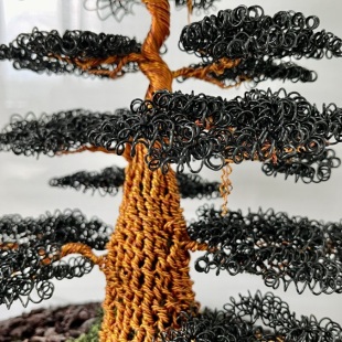 Black Oak