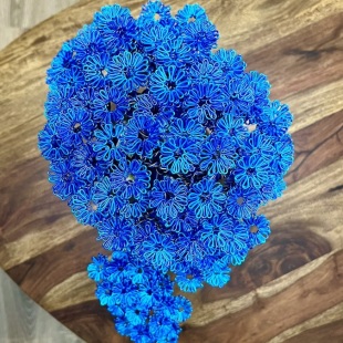 Blue Cascade II.
