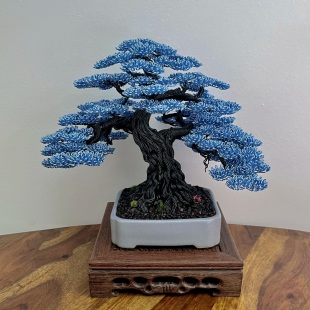 Blue Oak II