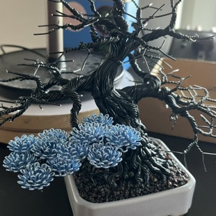 Blue Oak II