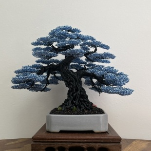 Blue Oak II