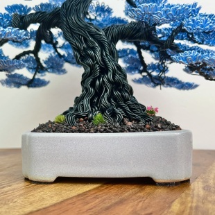 Blue Oak II