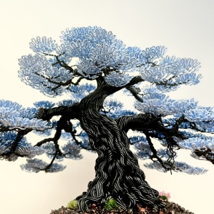Blue Oak II