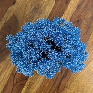 Blue Oak II