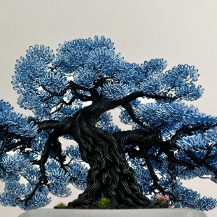 Blue Oak II