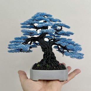 Blue Oak II
