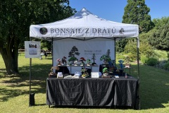 Bonsai festival Prague 2026