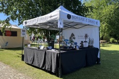 Bonsai festival Prague 2026