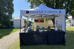 Bonsai festival Prague 2026