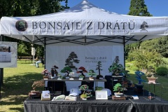 Bonsai festival Prague 2026