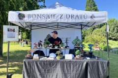 Bonsai festival Prague 2026