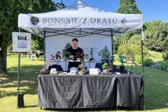 Bonsai festival Prague 2026