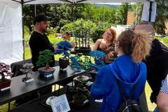 Bonsai festival Prague 2026