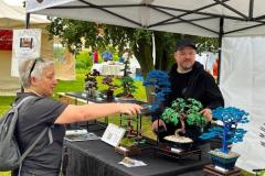 Bonsai festival Prague 2026