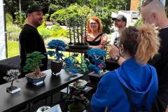 Bonsai festival Prague 2026