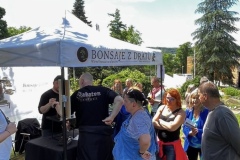 Bonsai festival Prague 2026