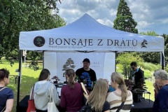 Bonsai festival Prague 2026