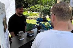 Bonsai festival Prague 2026