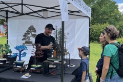 Bonsai festival Prague 2026