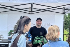 Bonsai festival Prague 2026