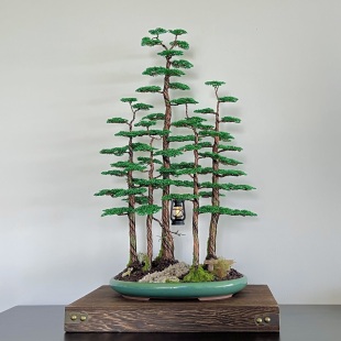 Bonsai Forest I