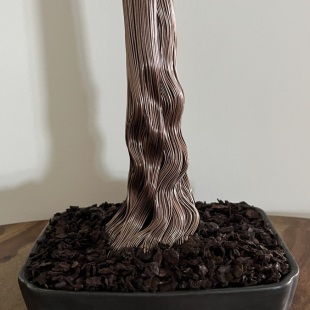 Bonsai Lavender