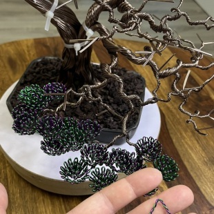 Bonsai Lavender