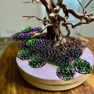 Bonsai Lavender