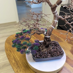 Bonsai Lavender
