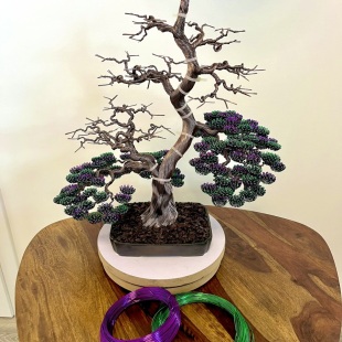 Bonsai Lavender