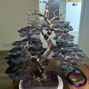 Bonsai Lavender