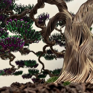 Bonsai Lavender