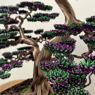Bonsai Lavender