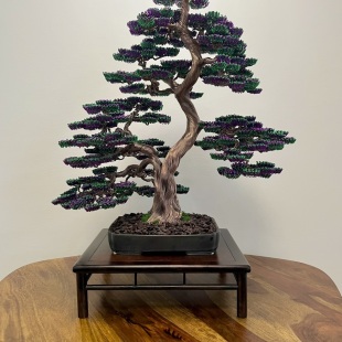 Bonsai Lavender
