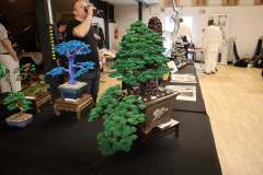 Bunkafest 2026