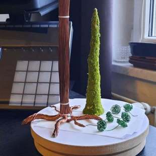Cedar