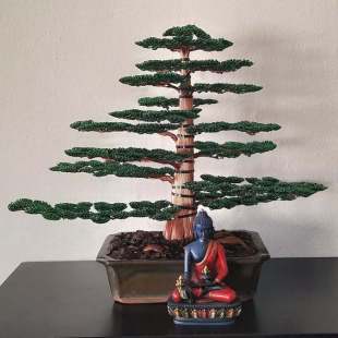 Cedar