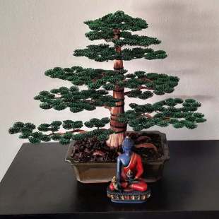 Cedar
