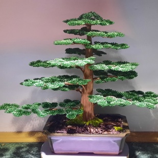 Cedar