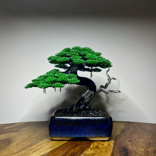 Chinese Elm