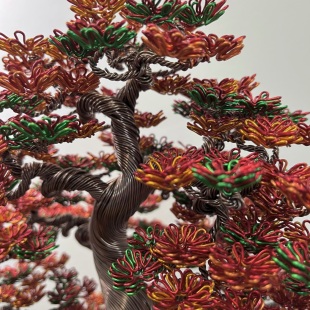 Fire Maple