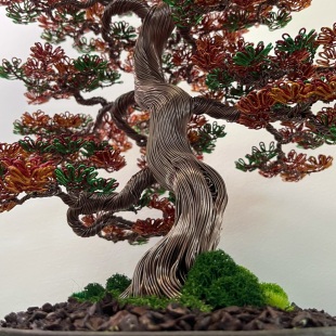 Fire Maple