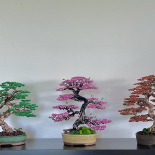 Fire Maple