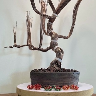 Fire Maple
